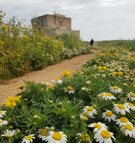 Alla Palma Azzurra - Riserva Torre Guaceto