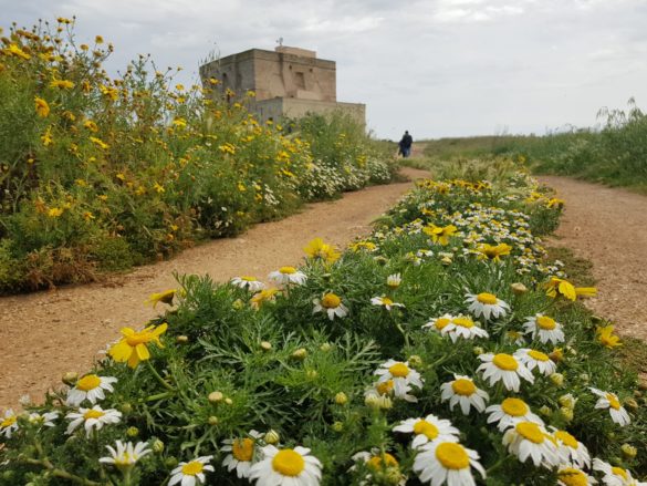 Alla Palma Azzurra - Riserva Torre Guaceto